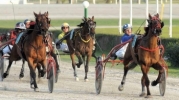 3rd and 4th horse-racing meetings 2012 – 22nd and 29th January 